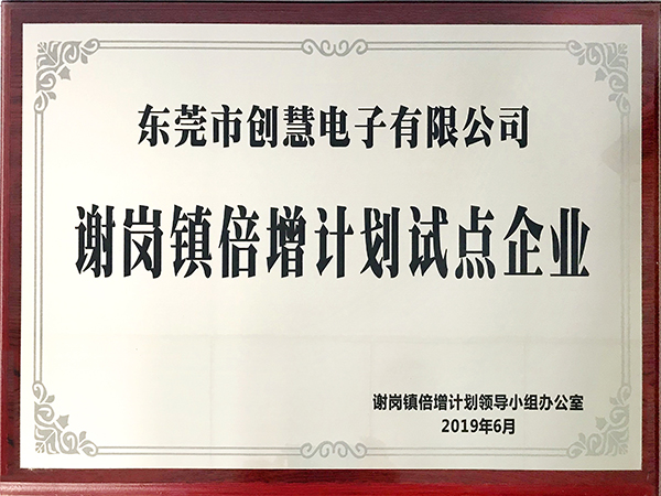 謝崗鎮(zhèn)倍增計劃試點企業(yè)-東莞市創(chuàng)慧電子有限公司